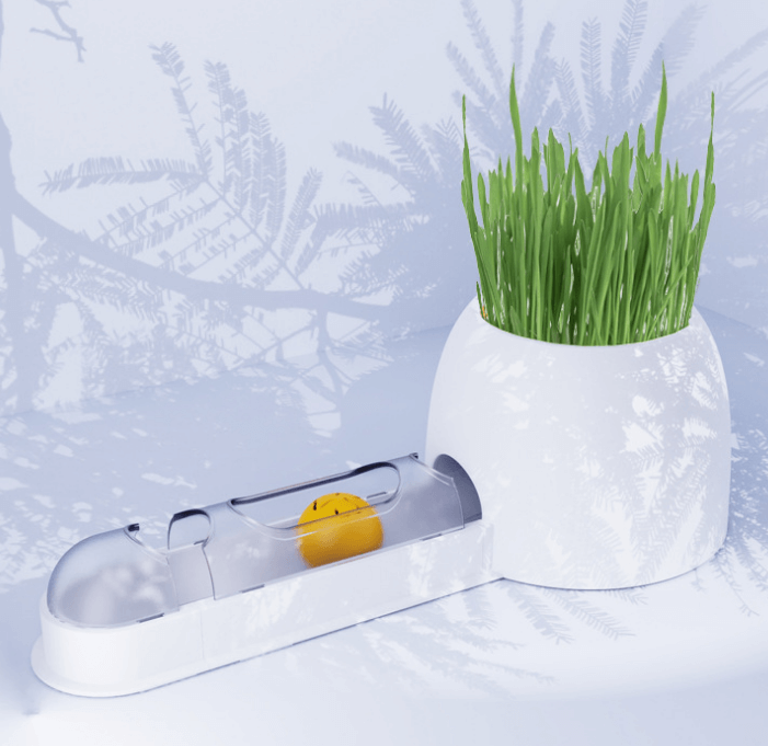 Cat Grass Tray With Interactive Toy | Petellow